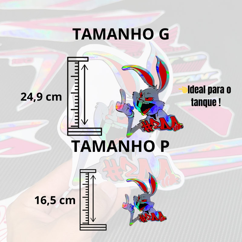 Coelho 244 LANÇAMENTO